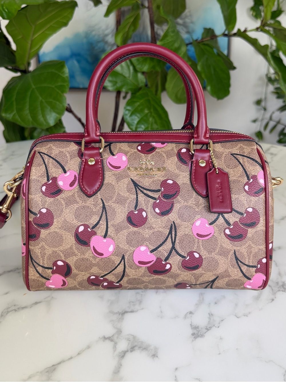 Coach Rowan Satchel Bag In Signature Canvas With Cherry Print CY692 Tan Red